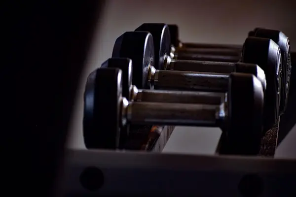 Set of dumbbells arranged on a rack inside a gym training area