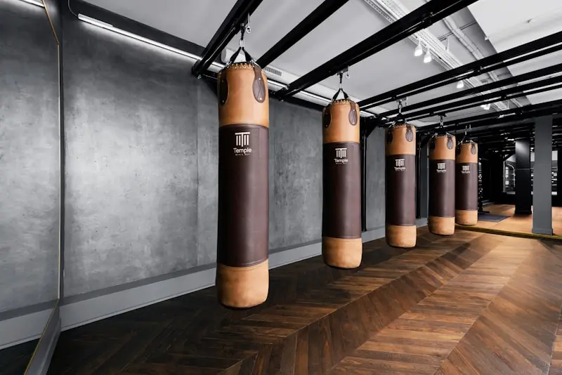 Boxing and martial arts training zone